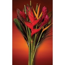 Exotic Bouquets - Heliconia Kiss Bouquet